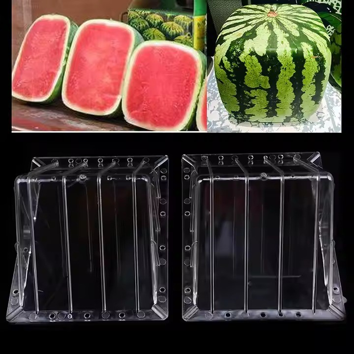 2024 Clear Growing Mold Square Shape Watermelon Transparent Fruit Growth Forming Shaping Mold Garden Supplier